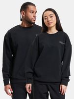 HALO Essential Crew Sweatshirt schwarz HALO Essential Crew Sweatshirt schwarz