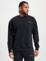 HALO Essential Crew Sweatshirt schwarz HALO Essential Crew Sweatshirt schwarz
