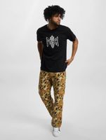 Maglietta classica con scollo a R e logo PASH nera