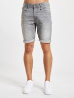 Petrol Industries Men's Light Gray Cotton Denim Shorts