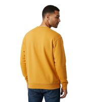 Sporty & Rich Srhwc Men's Crew Neck Sweatshirt, Modern Cotton Sweater, Orange Sporty & Rich Srhwc Men's Crew Neck Sweatshirt, Modern Cotton Sweater, Orange