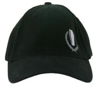 Casquette unisexe My Chemical Romance, casquette de baseball en coton à visière incurvée, TC104147MCR, noire