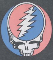 Camiseta RE:COVERED X Grateful Dead para hombre con logo grande de la banda, algodón, manga corta, RCWBROS169 Gris