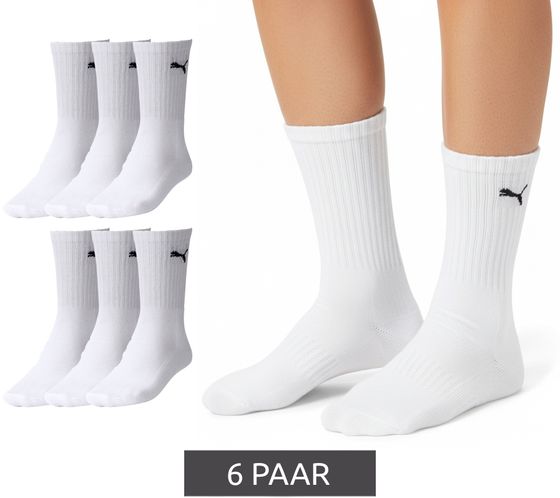 6 pares de calcetines deportivos PUMA lisos, de algodón, de tenis y largos, 7308 300 blancos