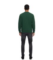 Sweat Lacoste Homme avec Logo Brodé, Pull Basique, Pull Moderne en Coton, Chemise Manches Longues SH9608 00, Gris ou Vert