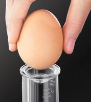 KRUPS elektrischer Eierkocher für 7 Eier Küchen-Helfer Küchenutensilien 350 Watt F2337010 Weiß/Schwarz