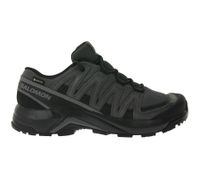 SALOMON X-Adventure Recon GTX GORE-TEX Herren Trekking-Schuhe mit Gore-Tex-Membrane Wander-Sneaker 478092 29 Grau/Schwarz