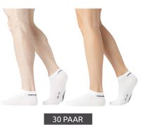 30 Paar umbro Sport Socks Sneaker-Socken für Damen und Herren Strümpfe Oeko-Tex Standard 100 UMG/1/TC5/FX6 Weiß