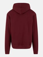 2-pack of European League of Football blank hoodies with kangaroo pockets, cotton sweatshirts, Zinfandel-red