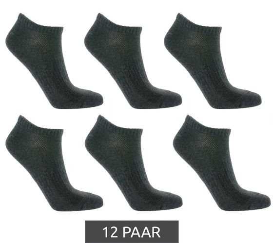 12 Paar TASTIQ Sneaker-Socken schlichte Baumwoll-Socken in Geschenkbox Sport-Socken Grau