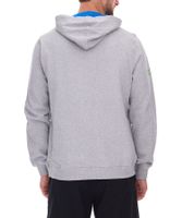 2er Sparpack green SYLT "WINDSURF WORLD CUP SYLT " Baumwoll-Hoodie Langarm für Herren mit Prints 0100-010 Grau