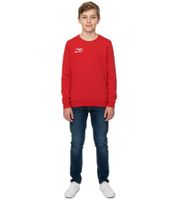 PENALTY Era Roundneck Co Jr Kids' Sweater with Logo Embroidery, Cotton Sweater for Teen Boys & Girls, 354710-4000 Red