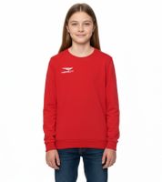 PENALTY Era Roundneck Co Jr Kids' Sweater with Logo Embroidery, Cotton Sweater for Teen Boys & Girls, 354710-4000 Red