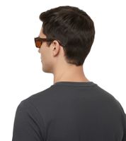 Gafas de sol polarizadas Champion para hombre, estilo casual, ideales para vacaciones, con montura ligeramente transparente CU514603 Marrón