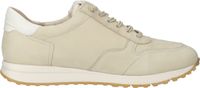 Elegante paul green Sneaker Schnürschuhe für Damen 5198-023 Beige