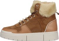 Modische SCAPA Stiefelette Schnürschuhe für Damen 10/2703F 530 Braun