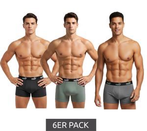 6-Pack PUMA Basic Boxer Shorts for Men, Cotton Underwear 100003547 001 Black/Grey Melange/Green