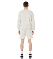 Hollister X NBA Brooklyn Nets Sweat-Shorts mit Team-Logo-Print Sport-Hose Baumwoll-Hose 328-278-0257-401 Beige