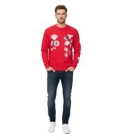 Hollister X NBA Herren Sweatshirt mit NBA-Team-Logos Baumwoll-Sweater Langarm-Shirt 322-221-1592 in Schwarz oder Rot