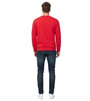 Hollister X NBA Herren Sweatshirt mit NBA-Team-Logos Baumwoll-Sweater Langarm-Shirt 322-221-1592 in Schwarz oder Rot