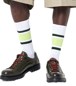 1 paio di calzini da uomo Happy Socks Simple Stripe con strisce, calzini in cotone, calzini per tutti i giorni P001607 Bianco/Verde