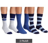 3 Paar SCOTCH & SODA Herren Crew-Socken Amsterdam Alltags-Strümpfe Einheitsgröße / 41-46 Cotton Blend in Grau/Navy/Blau oder Rayon Blend in Grau/Navy/Beige