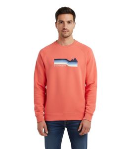 Sustainable REGATTA Nithsdale Sweater Men's Cotton Pullover Sweatshirt RMA565-4BV Red