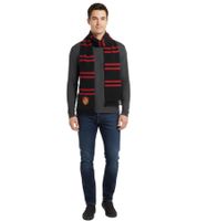 Bufanda de Hogwarts para hombre y mujer con el logotipo de Hogwarts, bufanda de otoño SF178215HPT negra