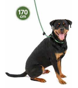 Bequeme Company of Animals 3-in-1 Hundeleine für stark ziehende Hunde Hundekurzleine Retrieverleine 170cm Grün