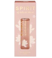 SPIRIT of Cashmere Musk or SPIRIT of Delicate Blush Women's Eau de Parfum Floral Body Fragrance 30ml Pink