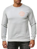 Casual men's crew neck sweater with logo print and large back print, sweater 19103 grey