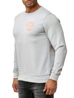 Casual men's crew neck sweater with logo print and large back print, sweater 19103 grey