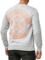 Casual men's crew neck sweater with logo print and large back print, sweater 19103 grey