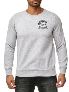 Cool men's crew neck sweater with skull print and large back print, sweater 19104 grey