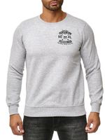 Cool men's crew neck sweater with skull print and large back print, sweater 19104 grey