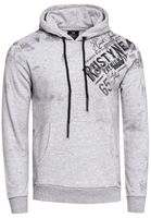 Sweat à capuche élégant pour homme, imprimé graphique intégral, poche kangourou, référence 19134, gris