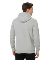 Helly Hansen Logo Herren Hoodie Baumwoll-Pullover mit Kapuze 300 g/m² Sweat-Pullover 79264_930 Hellgrau