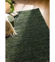 Plush Rug - Living Room Rug, Home Accessory, Decorative Rug 933130 Green