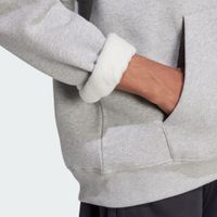 Sportliche adidas Hoodie Herren JV6057-15993 Grau