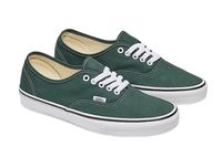 Sportliche Vans Authentic Color Theory Unisex Sneaker VN000D7Y-13734 Grün