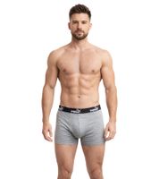 3er Pack PUMA Basic Boxer Herren Boxer-Shorts Baumwoll-Unterhose Unterwäsche 701218254 004 Grau/Grün/Schwarz