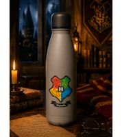 Borraccia termica di Harry Potter "Ritorno a Hogwarts", 500 ml, in acciaio inox, dal design magico, beige/grigio.