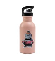 Harry Potter Trinkflasche „Hogwarts Express“ 500 ml Edelstahl Trinkflasche im magischen Design Rosa