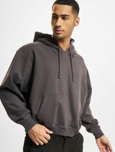 Casual 2Y Premium Men's Hoodie with Drawstring Hood, Cotton, Grey