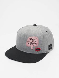 coole Cayler & Sons Herren Cap Grau