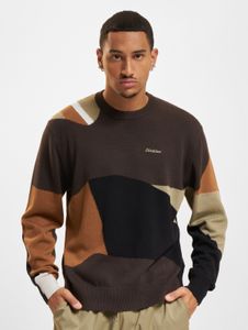 modernes Dickies Herren Sweatshirt Braun