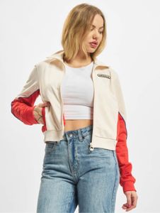 moderne adidas Damen Jacke Reißverschluss Creme/Weiß