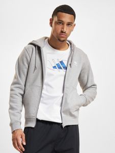 lässiger adidas Herren Hoodie Grau