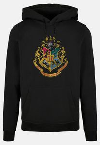 Sweat à capuche homme Casual Absolute Cult, 270 g/m², noir