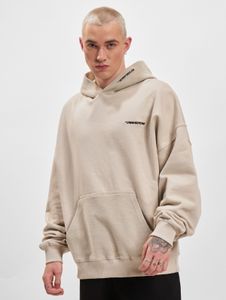 Sweat à capuche confortable PEGADOR pour homme, en coton beige